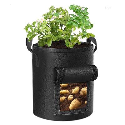 China Minimalist Farmhouse Nursery Planter Grow Bag Tree Sowing Pot Cloth Potato Grow Bags 10 Gallon With Fin for sale