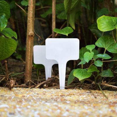 China 100 pcs a t type plastic plant label multi color plant tag garden sign herb bag garden label waterproof plastic laser cut 6x(7+3)cm( can customzied) for sale