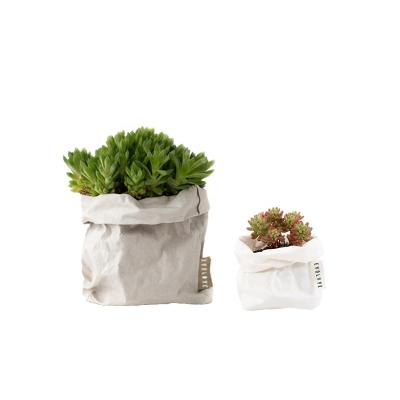 China Modern New customised stand up recycle kraft paper flower pot for sale