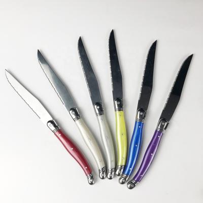 China 6PCS Sustainable High Quality Stainless Steel Steak Knife Set With Colorful PP Handle for sale