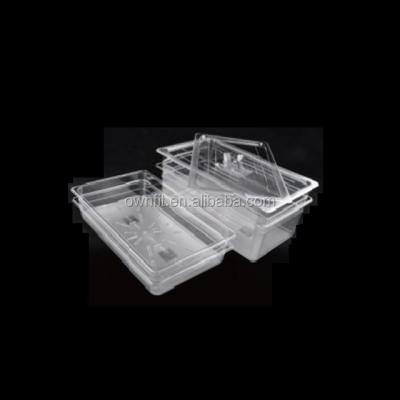 China Hotel restaurant plastic container gastronorm food warmer GN 1/1 buffet bain marie trays chafing dish home pans with lid for sale