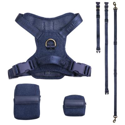 China Personalized 2022 Own Brand Pet Products Success Custom Logo Non Pull Hands Free Breathable Padded 3M Dog Pet Harness Set With Leash for sale