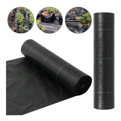 China 3D Maxgarden Ground Cover Fabric Waterproof Barrier Mat/Agro PP Plastic Ant Control Mat for sale