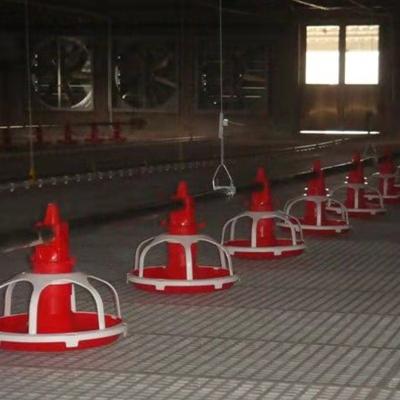 China Wholesale Farm Poultry Feed Farm Large Feeding Line Equipment Automatic Duck Pan System for sale