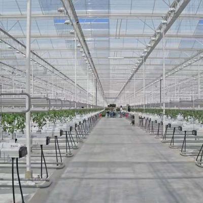 China High strength high quality multifunctional commercial industrial hydroponic systems for sale