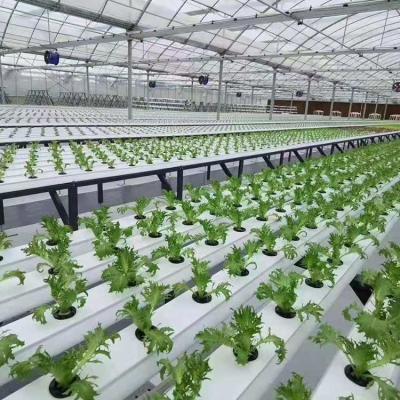 China High strength complete agriculture hydroponic greenhouse growing systems for sale for sale