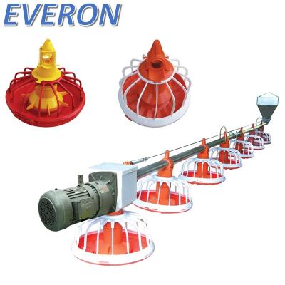 China Everon Brand Automatic Automatic Chicken Feeding System for sale