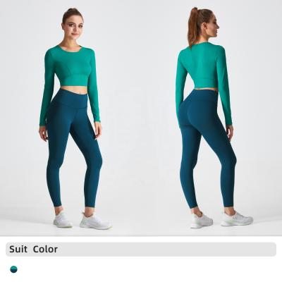 China OEM Breathable Professional Women Yoga Set Yoga Pants Proof Sleeve Tops Along Yoga Squat Apparel Fitness for sale