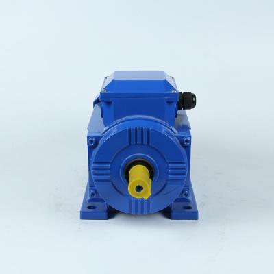 China Y2-112M-2 Series 4KW 5.5HP 2P 2800RPM Three Phase Electric Motors Totally Enclosed AC Motor for sale