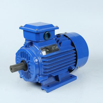 China Y-200L1-6 Series 18.5KW 25HP 6P 1000RPM Three Phase Electric Motor Induction Motor Totally Enclosed AC Motor for sale