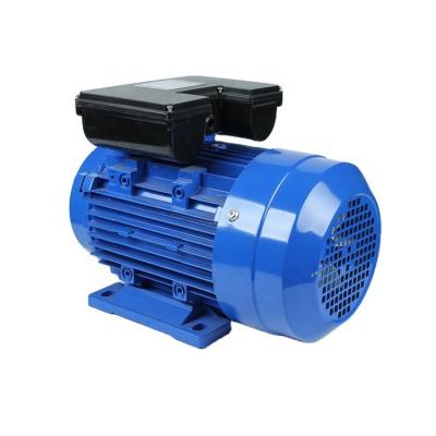 China ML Series 3KW 4HP 2P 2800RPM Motor Single Phase Totally Enclosed Motor Asynchronous AC Motors for sale