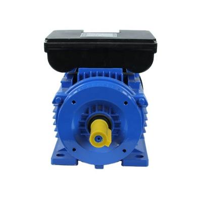 China ML Series 1.5KW 2HP 2P 2P 2800RPM Motor Single Phase Totally Enclosed Motor Asynchronous AC Motors for sale