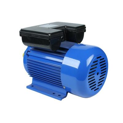 China ML Series 0.55KW 0.75HP 2P 2800RPM Totally Enclosed Motor Single Phase Motor Asynchronous AC Motors for sale