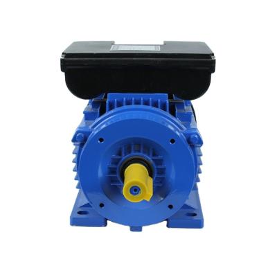 China ML Series 0.75KW 1HP 4P 1440RPM Motor Single Phase Totally Enclosed Motor Asynchronous AC Motors for sale