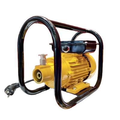 China Building Material Stores ZN Series 2.2kw 3hp 220v 2800rpm Electric Portable Concrete Vibrator Vibration Motors External Cast Aluminum for sale