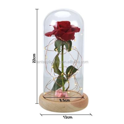 China Wedding Christmas Valentine's New Arrival Eternal Red Rose Flower With LED Copper Wire Light In Glass Dome For Wedding Christmas Valentine's Day AA Battery for sale