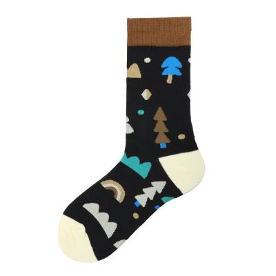 China Fashion Sex White Women QUICK DRY Tube Bangs Funny Art Crew Socks Women Cotton Business Colorful Novelty Socks for sale