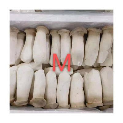 China Wholesale Price Fresh High Quality Products Buy King Oyster Mushrooms for sale