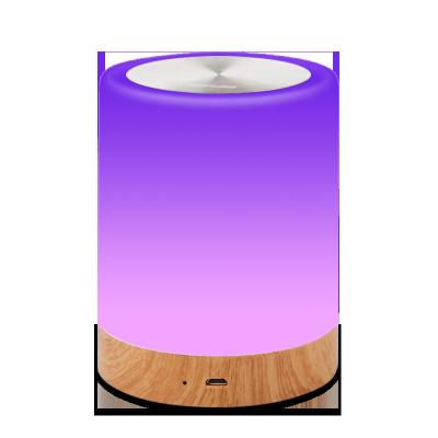 China Modern Wholesale Amazon Sells Applause One Night Light On Light Touch Wood Grain Bedroom Atmosphere 7 Color Lamp One Small for sale