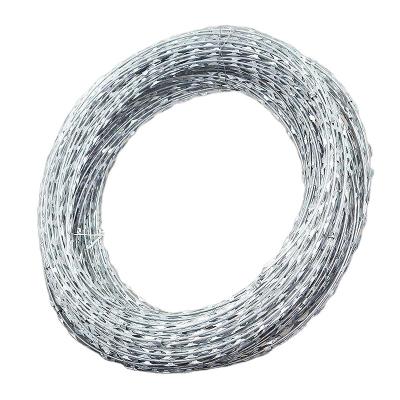 China High Strength Factory Razor Wire Mesh Burr Wire Mesh Roll Price Wholesale for sale