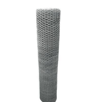 China Hexagonal Double Twist Wire Mesh Chicken Wire Farming Mesh Pigeon Mesh for sale