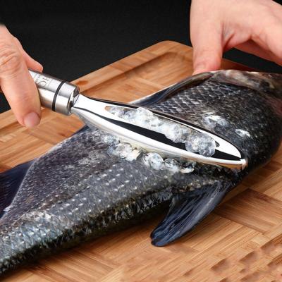 China Stainless Fish Scales Scraping Graters Quickly Remove Fish Cleaning Peeler Scraper Fish Bone Tweezers Tool Hy00277800 for sale