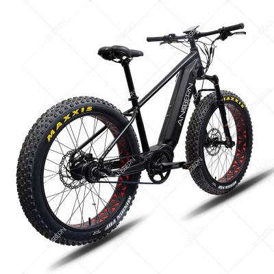 China 2021 Aluminum Alloy Ansbern OEM Fat Mid Tire 48V Bafang Motor 1000w Electric Mountain Bike for sale