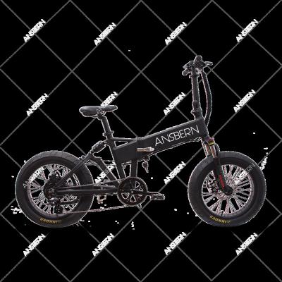 China Ansbern 20inch 36V 48V 750W Aluminum Fat Alloy Electric Bike/Folding Electric Bike/E Bike for sale