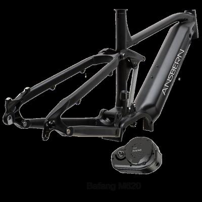 China Enduro carbon frame new ebike carbon mountain bikes mountain bike frame electric bicycle for sale