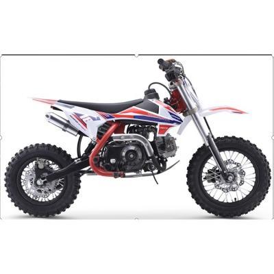 China factory direct export TRAIL HEAD mini kids dirt bike cheap price pit bike 2.75-12/3.00-10 for sale