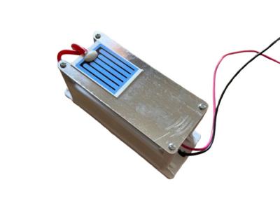 China 12V 1g Ozone Machine Plates Ceramic Ozone Generator for sale