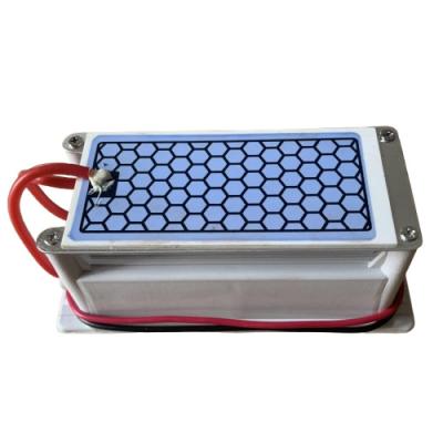 China Electric 5g/Hr Plate Ozone Generator Ceramic Ozone Generator Replacement Plates For Odor for sale