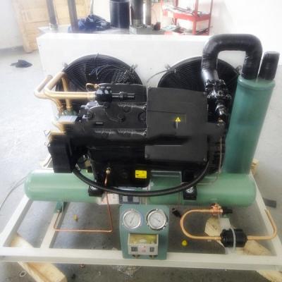 China Cold Storage Room Freezer Room Walk In Cooler 20 Hp Compressor Copeland Compressor Unit for sale