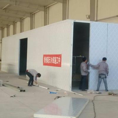 China Freezer Storage Cold Storage Room Freezer Room For Fruit And Vegetable Cold Room High Quality Equipment for sale