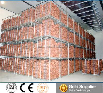 China Freezer Storage Cold Storage For Onion With Copeland Condensing Unit for sale