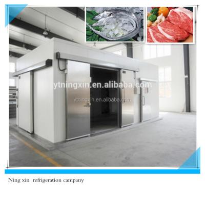 China Storage Cold Room Cold Storage Room Industrial Quick Freezer Room For Fruit Blast Freezer for sale