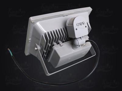 Cina 50 watt IP66 fuori delle luci di inondazione impermeabili del LED per illuminazione del paesaggio, luce all'aperto del punto in vendita