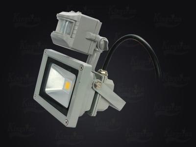 China Lawn or Tree Garden Lighting Waterproof LED Flood Lights High Brightness 30 Watt for sale