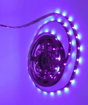 China Flexible Sterilizing Lighting LED Strip Light Kits SMD 5050 Purple 24 W adapter for sale