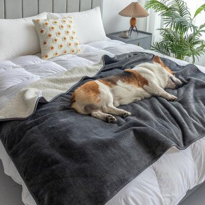 China Waterproof Soft Pet Blanket Fleece Durable Dog Blanket Waterproof Washable Comfortable Large Fluffy Blankets For Dog for sale