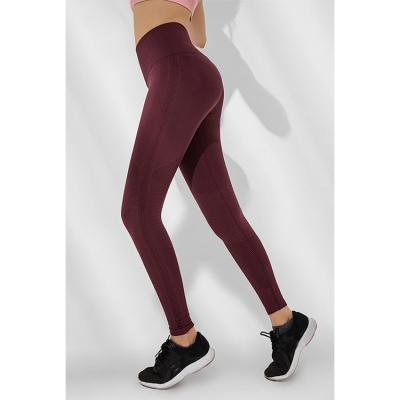 China High Quality Breathable Professional Elastic Running Dance Fitness Sports Gaiters Women Yoga Tight Pants for sale