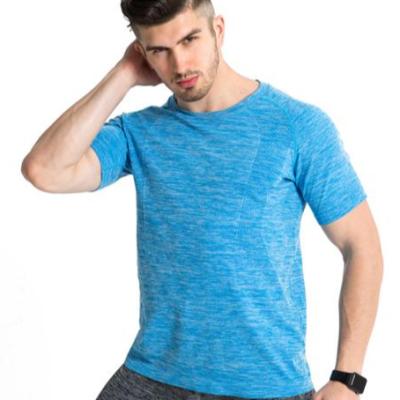 China China Supplier Men's Gym T-shirt Men's Seamless Performance T Shirts Antibacterial Free Sports T-shirt Men's Gym T-shirt for sale