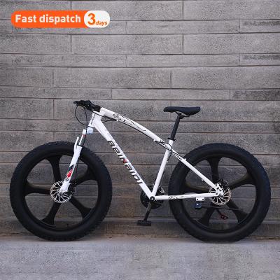 China Hot Selling 21/24/27/30 Steel Gear Amazon Fat Tire Bike High Carbon Steel Frame For Adults for sale