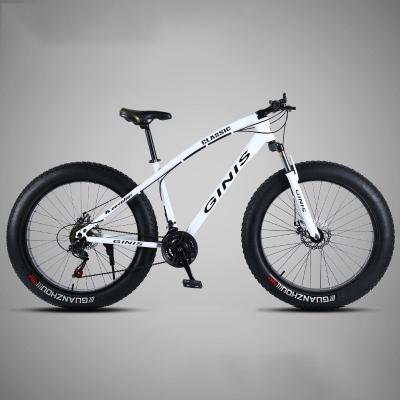 China China Hot-selling High Quality Steel Sport Bike Cool Adult Mountain Bike 24 Inch Road Snow Bikes for sale