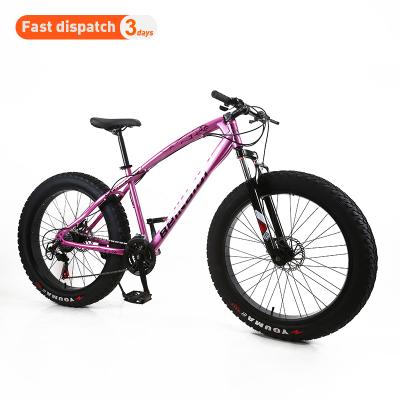 China Aluminum 26 Inch 4.0 Fat Tire Snow Bike Adult Bike Disc Brake/Beach Dual Variable Speed ​​Disc Brake for sale