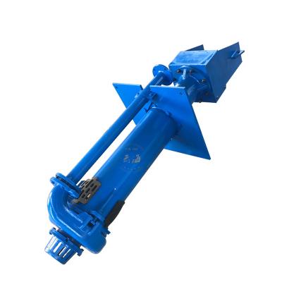 China Mining Industry Slurry Sewage Slurry Centrifugal Pump Vertical Extraction Pump for sale