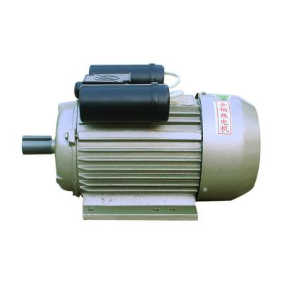 China IP44 1400 rpm single phase electric motor for sale