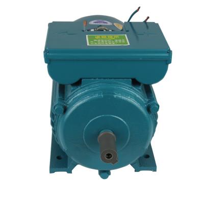 China IP44 2.6kW 220 Water Single Phase 3.5hp Electric Motor for sale