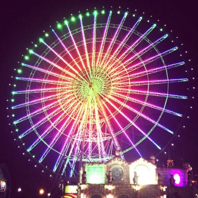 China Metal theme park amusement ride ferris wheel with beautiful amusement ride lighting in the night for sale