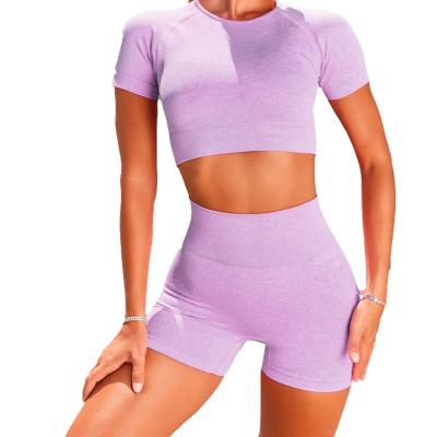 China Sustainable Seamless Fitness Yoga Set Wholesale Custom Two Piece Workout Apparel Yoga Set Suit for sale